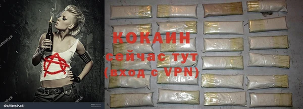 apvp Алексин