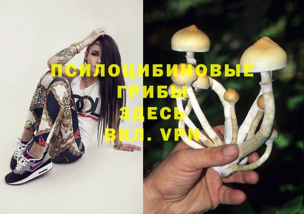 спиды Алексеевка